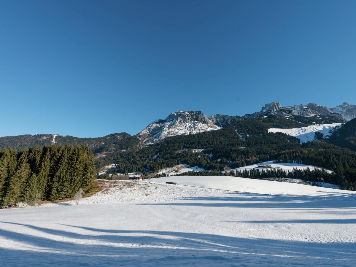 Villa Dachstein Chalet B Annaberg im Lammertal Exterior foto