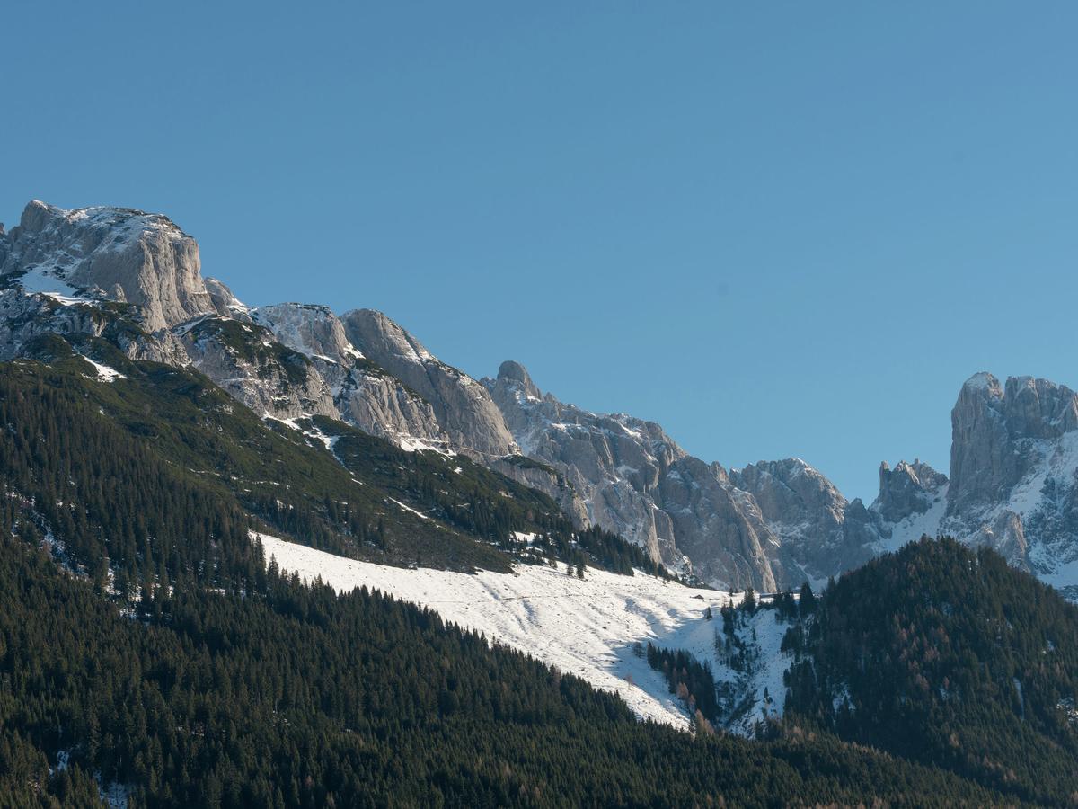 Villa Dachstein Chalet B Annaberg im Lammertal Exterior foto